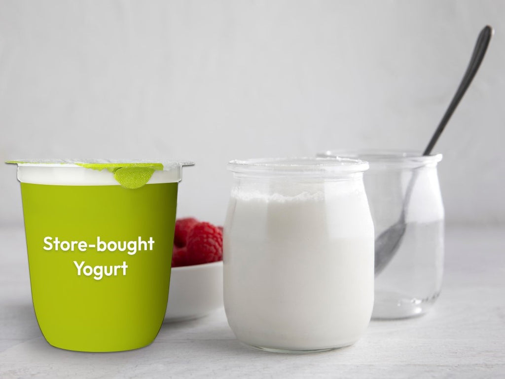 The Real Difference Between Storebought and Homemade Yogurts GI