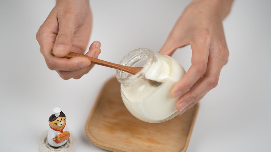 Things to Keep in Mind While Choosing a Yogurt Starter
